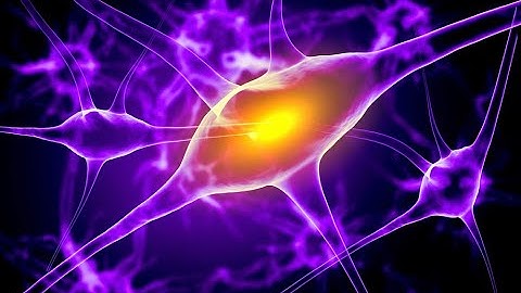 Multiple Sclerosis Research:  Live Q&A