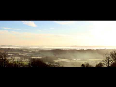 Will Cookson - Stickfigure Dreams