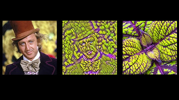 TensorFlow Tutorial #15 Style Transfer