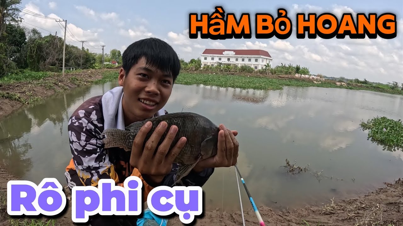 Săn rô phi cụ ở hầm bỏ hoang nằm ở phía sau resort cồn Khương