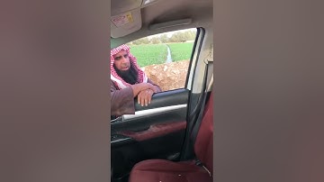 دحيم الحماد ١٤٤٢هـ تلاوة ايةٌ الكرسي تحت المطر