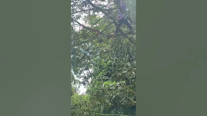 泰國 旅行 的美景和美食 - 天天要聞