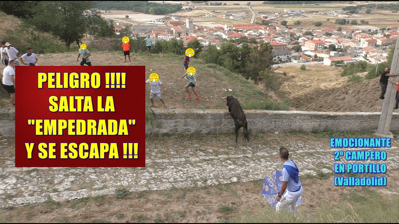 Portillo (Va), 2º Encierro Mixto. 