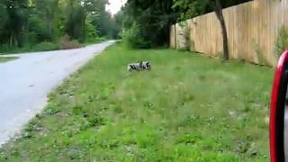 MVI_1838.AVI