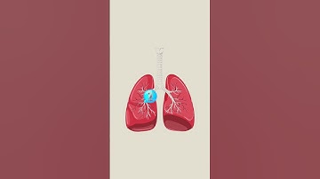 Why does inhaling helium is dangerous☠️☠️