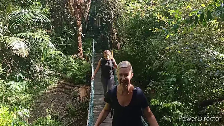 Strickland Forrest Walk 2021