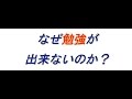 大人の発達障害「なぜ勉強が出来ないのか？」扁桃体・海馬・惻座核の関係