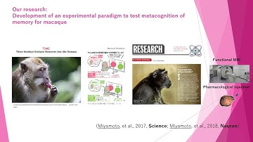 Joint Graduate School Program_Miyamoto Lab