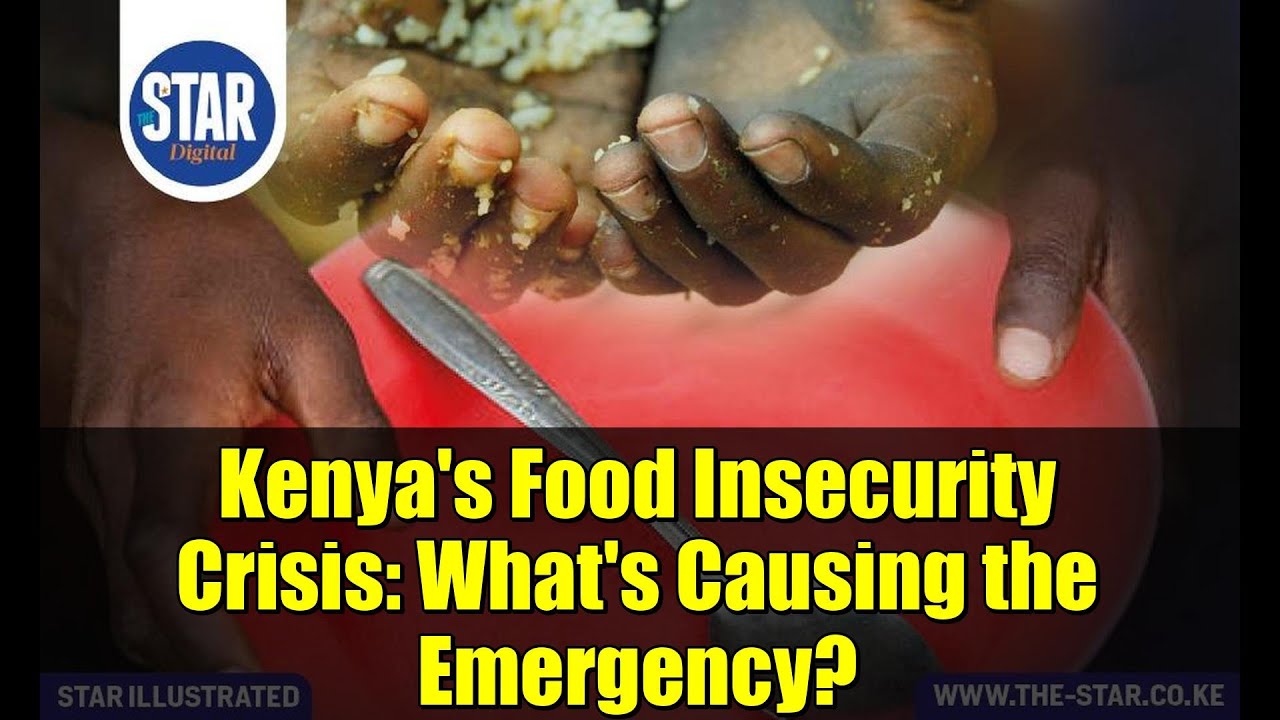 Kenya's Food Insecurity Crisis: What's Causing the Emergency?