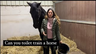 Toilet training my horses/ asking them to potty on command