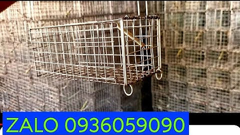 Cung cấp lồng bẫy chuột đường mòn. Bán lồng bẫy chuột đàn. Cung cấp lồng bẫy chuột đồng.