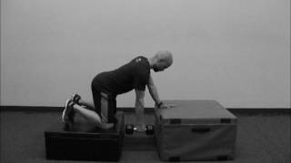 Quadruped Three Point Dumbbell Row