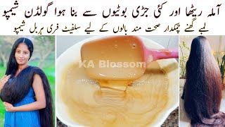 Amla Reetha Herbal Shampoo Sulphate Free Shampoo With Homemade Shampoo Base Thick Long Hair 
