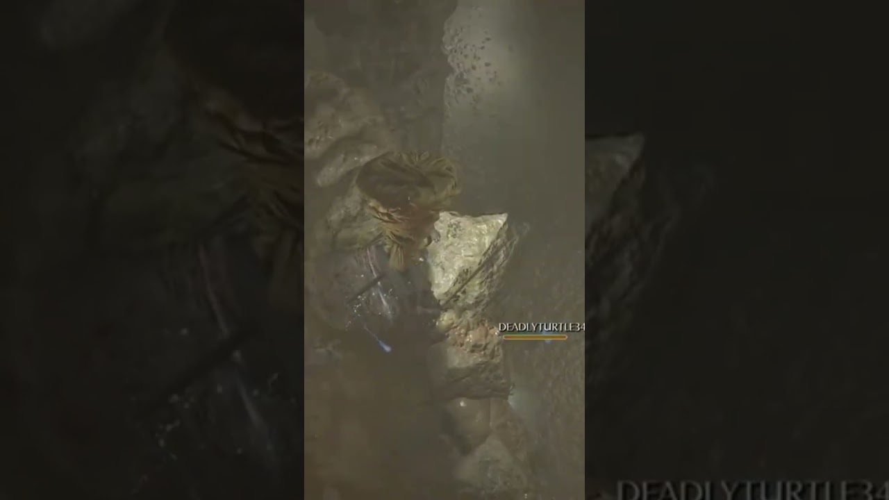 DEMON'S SOULS: Trust me it's there 