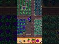 Cabbage Harvesting Stardew Valley #stardewshorts #stardewvalley #stardew #stardewtips