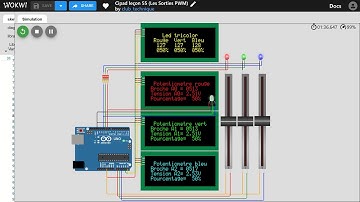 CIPAD 55; Les sorties analogiques