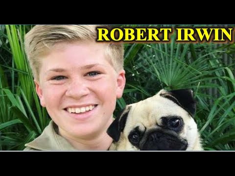 Video: Robert Irwin: Biografi, Kreativitet, Karriere, Personlige Liv