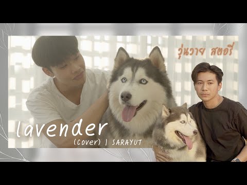 Lavender (ลาเวนเดอร์) - Patrickananda | Cover by James Sarayut
