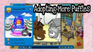 Adopting More Puffles | Club Penguin Rewritten