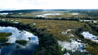 Savannas Recreation Area Fort Pierce Florida
