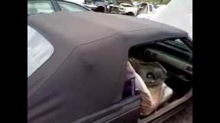 flipping money at the local u pull u pay salvage yard
