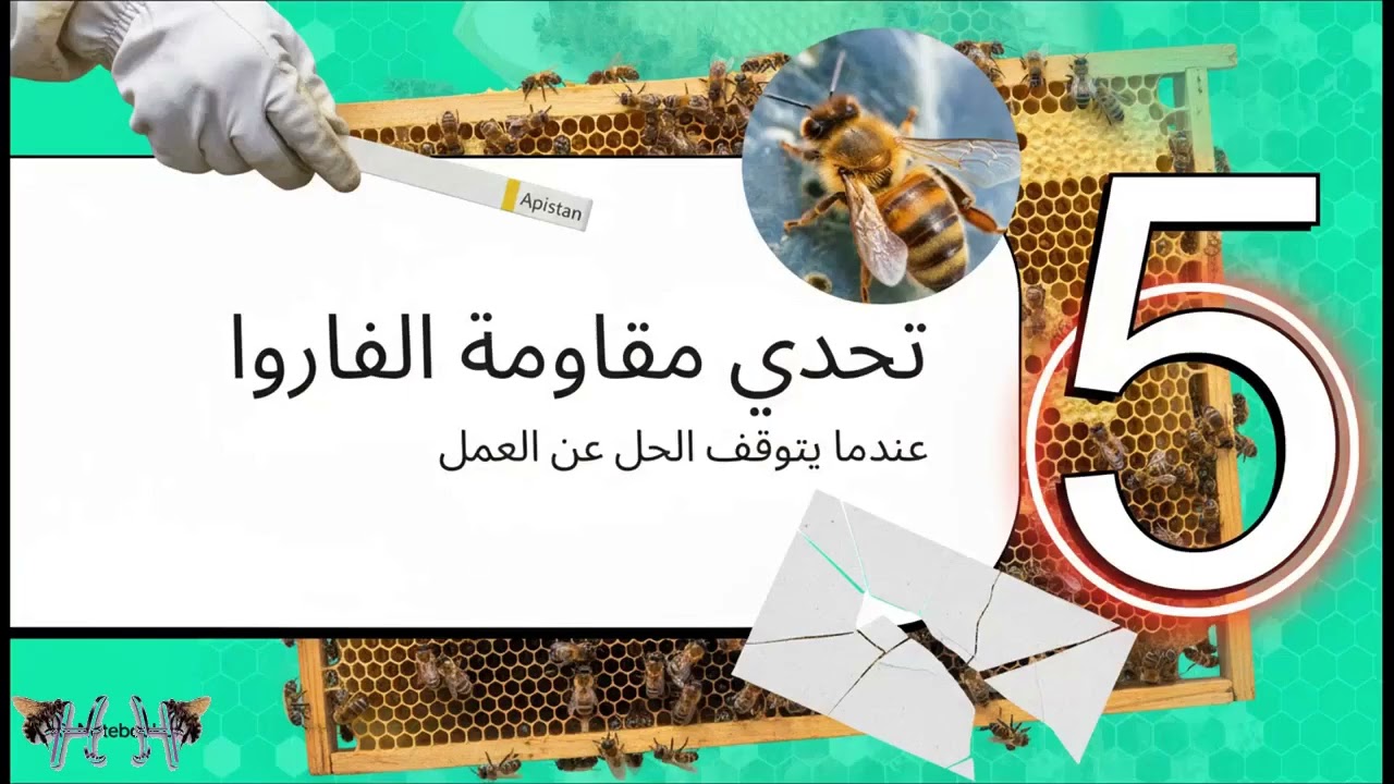 استخدام الأبيستان لمكافحة الفاروا
