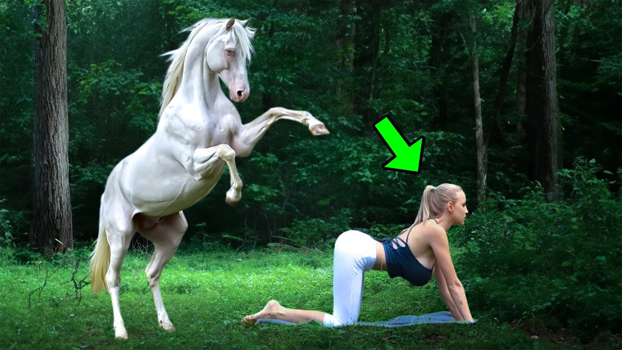 this-story-shocks-the-whole-world-this-is-what-a-wild-horse-does-to-a