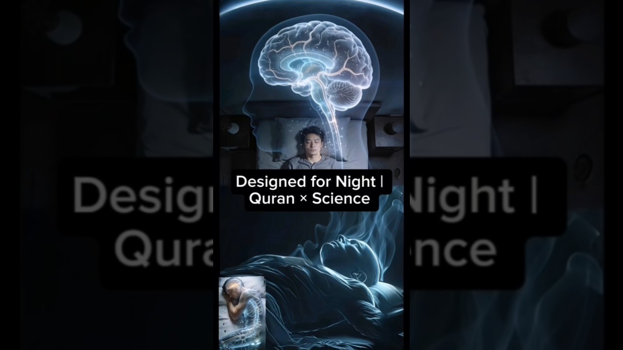 Why Humans Sleep at Night | Quran × Science