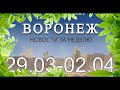 Новости Воронежа (29 марта - 2 апреля)