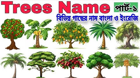 “Trees Name For Kids | Different Tree Names in Bangla and English | Kids Learning Video | part-1”