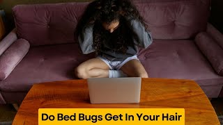 Do Bed Bugs Get In Your Hair | get rid of bed bugs | Bed bug myths