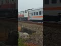 KA Serayu menembus kabut dan masuk lagi :v