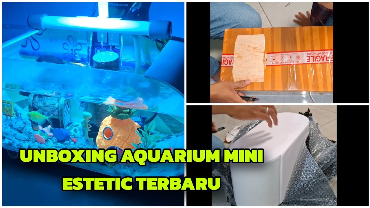 UNBOXING AQUARIUM MINI ESTETIC TERBARU