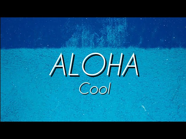 ALOHA-COOL (English Cover By Elight Learning English) Lyrics class=