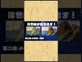 東海道五十三次　第二弾　小田原 〜 興津　ショートver.　 #ai #歴史 #旅行 #タイムスリップ