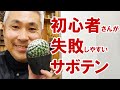 これさえ覚えればもう枯らさない！　サボテンの育て方 水やりのコツと植え替え