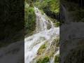 Birds singing &Calming music,Nature Ambience,Instrumental music