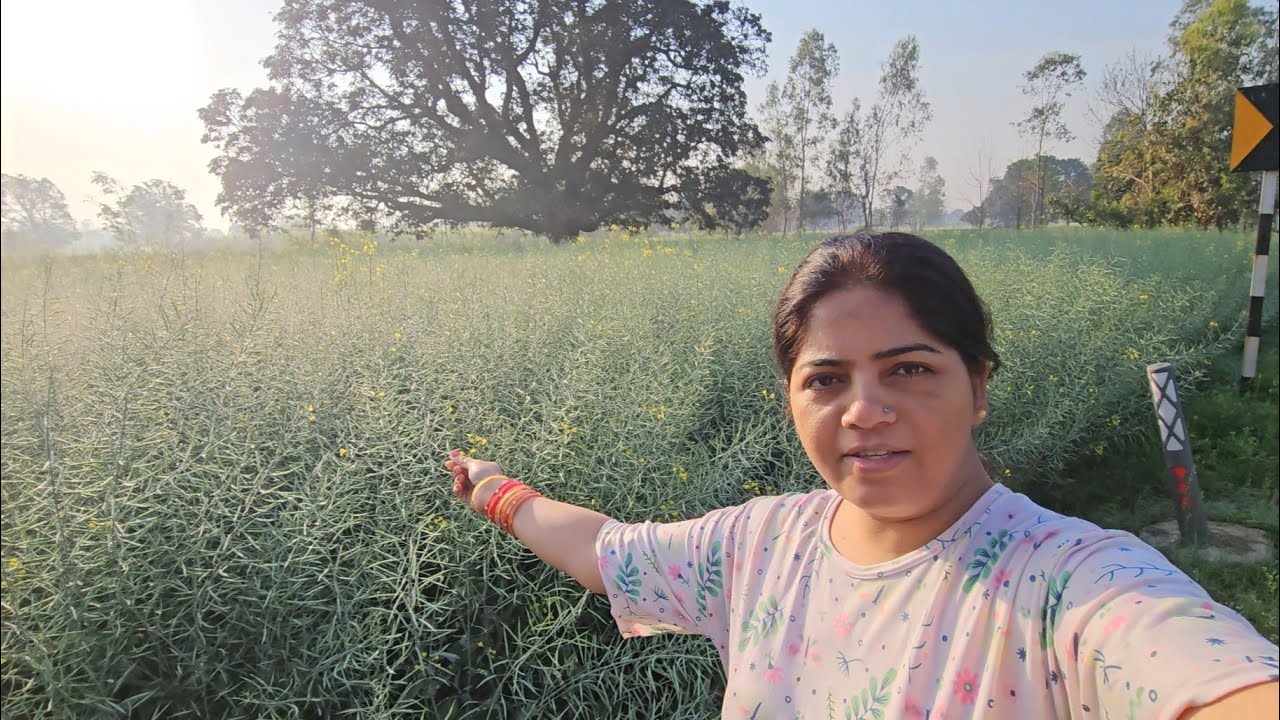 Aaj lagi mehfil || punjab Series 4 || Mishripunjaban ||