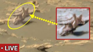 NASA Mars Rover Perseverance sends Extremely Surprising 360° Footage of Chocolate Peak!Latest Images