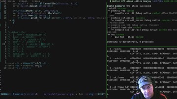 1000 Sub Livestream: Zig Debugger