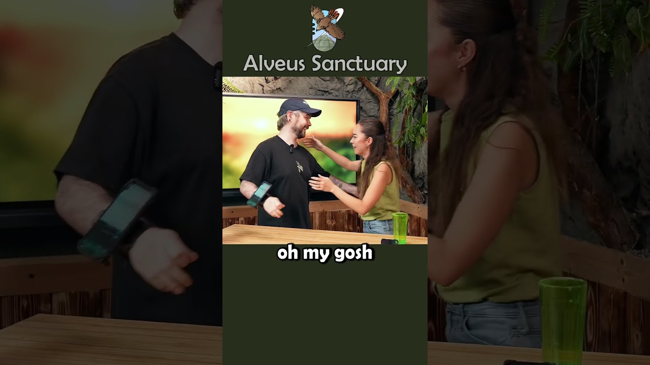 @jacksepticeye brings Maya to tears 🥹 #mayahiga #alveussanctuary #jacksepticeye