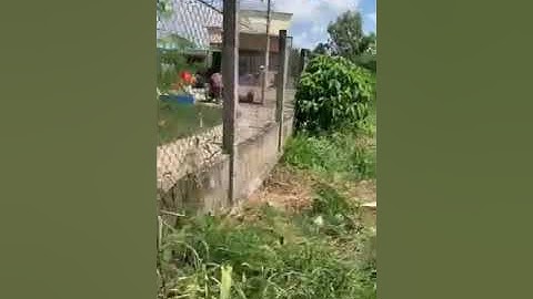 Bán đất Thị xã Gò Công ( xem kĩ ở phần mô tả )