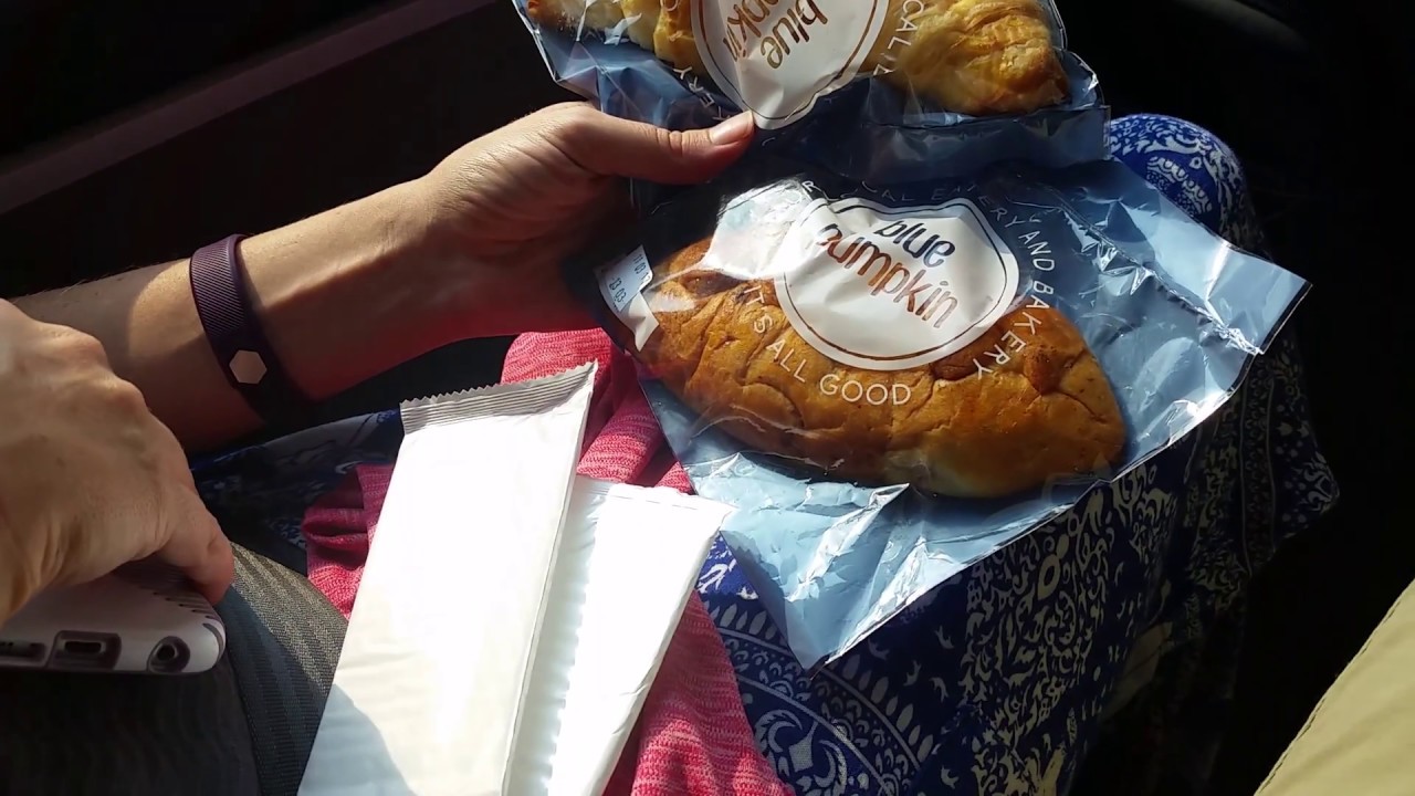 camera iphone 8 plus apk Giant Ibis Bus Service in Cambodia: Free WiFi, Water, Pastries, Air Con, Power Outlets