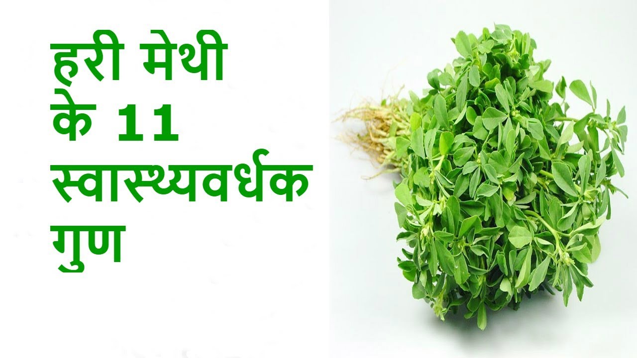 हरी मेथी के 11 फायदे Benefits of Green Fenugreek Ayurveda Tips