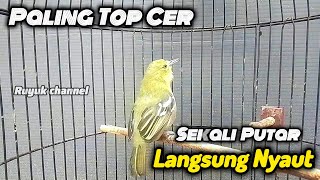 Download Mp3 Sirtu Cipoh Gacor‼️Pancingan Top Cer Sekali Putar Cipoh Diam & Macet Bunyi Langsung Nyaut✅️ Gudang lagu Download Mp3 Sirtu Cipoh Gacor‼️Pancingan Top Cer Sekali Putar Cipoh Diam & Macet Bunyi Langsung Nyaut✅️