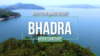 River Tern Jungle Resort - Bhadra Tiger Reserve - Honda WRV VLOG - TravelTECH