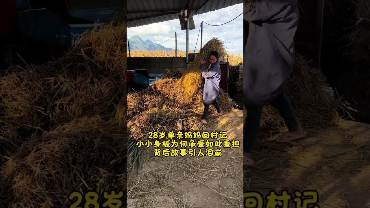 28岁单亲妈妈回村记 小小身板为何承受如此重担？背后故事引人泪崩！我的故事犹如一部充满坎坷的生活纪录片 能让你看到生活的不易 却也能让你感受到我坚韧不拔的力你是否愿意跟随我的讲述 走进这段跌宕起伏的