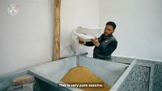 Tahin From Amedi - Eng Resimi