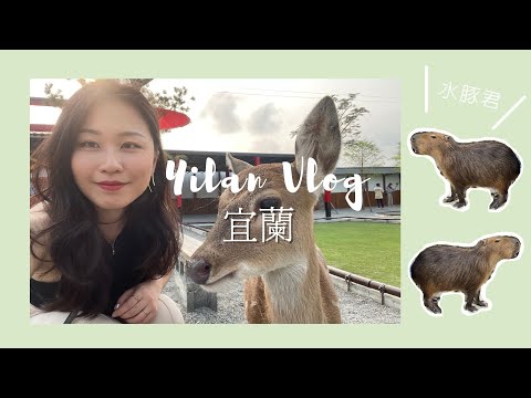 宜蘭 Vlog：爆吃美食行程、張美阿嬷農場、白糖粿、耕壽司🍣｜Irene Woo