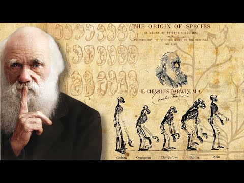 Видео: Кой формулира научната теория за еволюцията чрез естествен подбор?